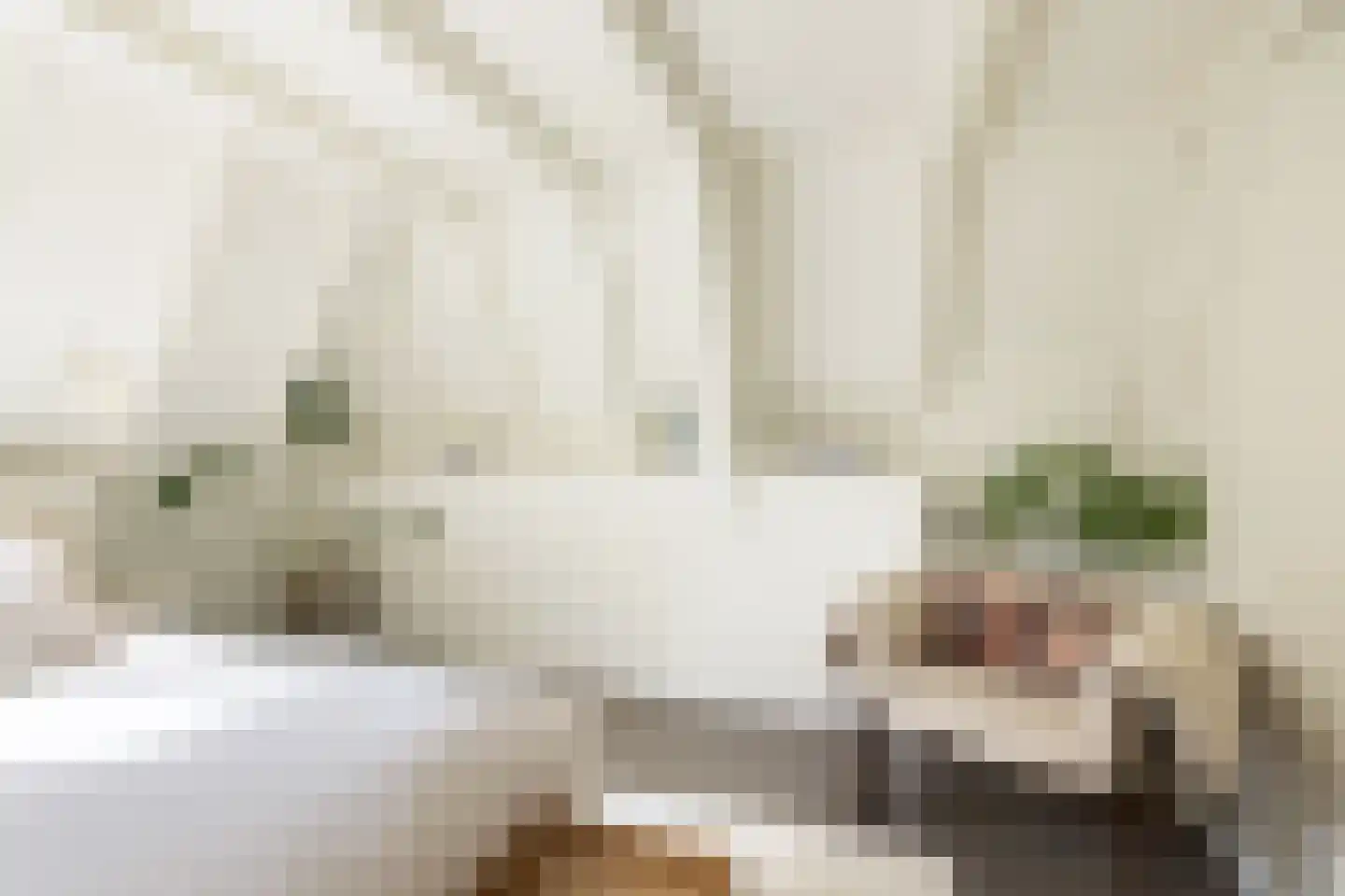 Droogbak 6 D Amsterdam thumbnail 23