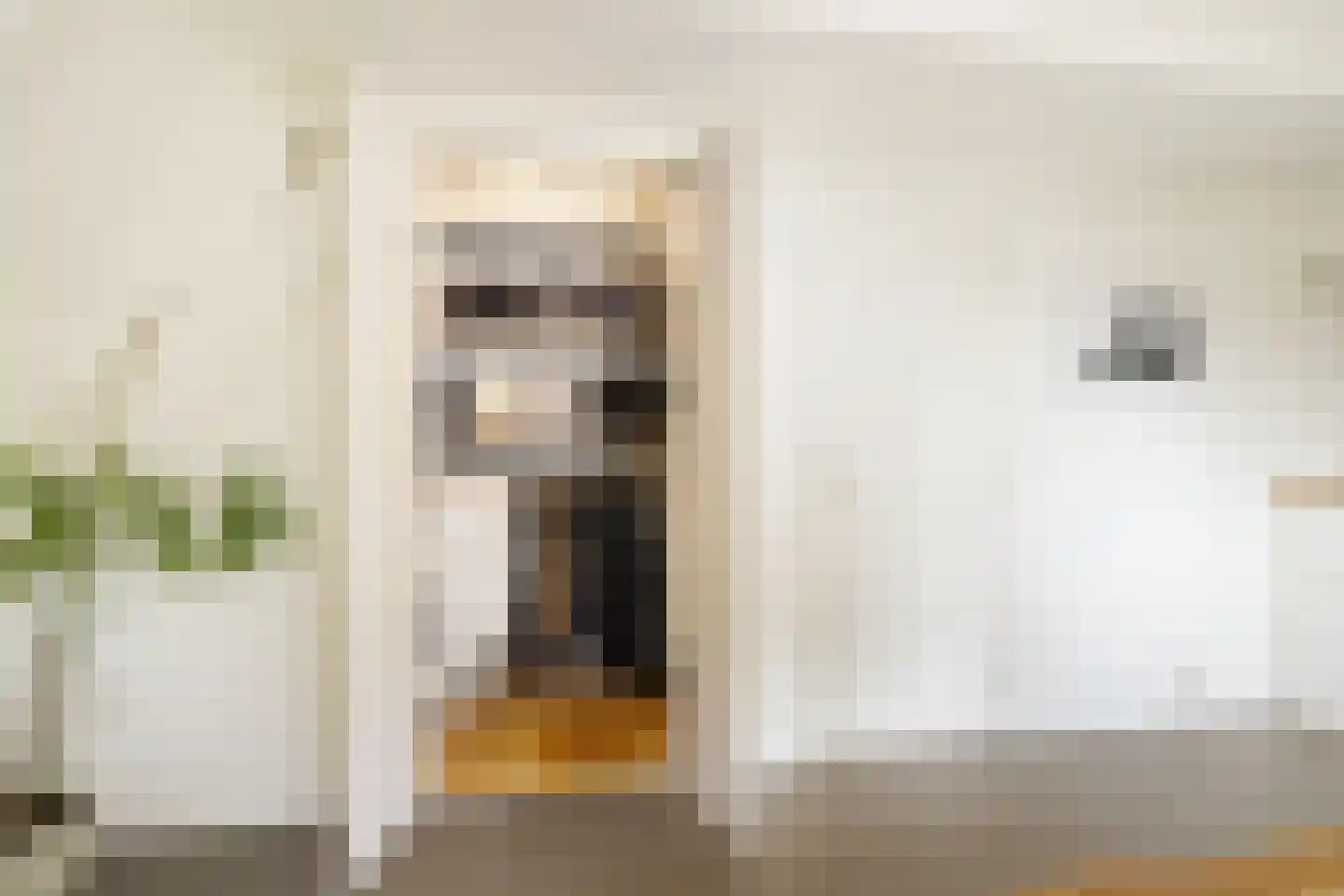 Droogbak 6 D Amsterdam thumbnail 25