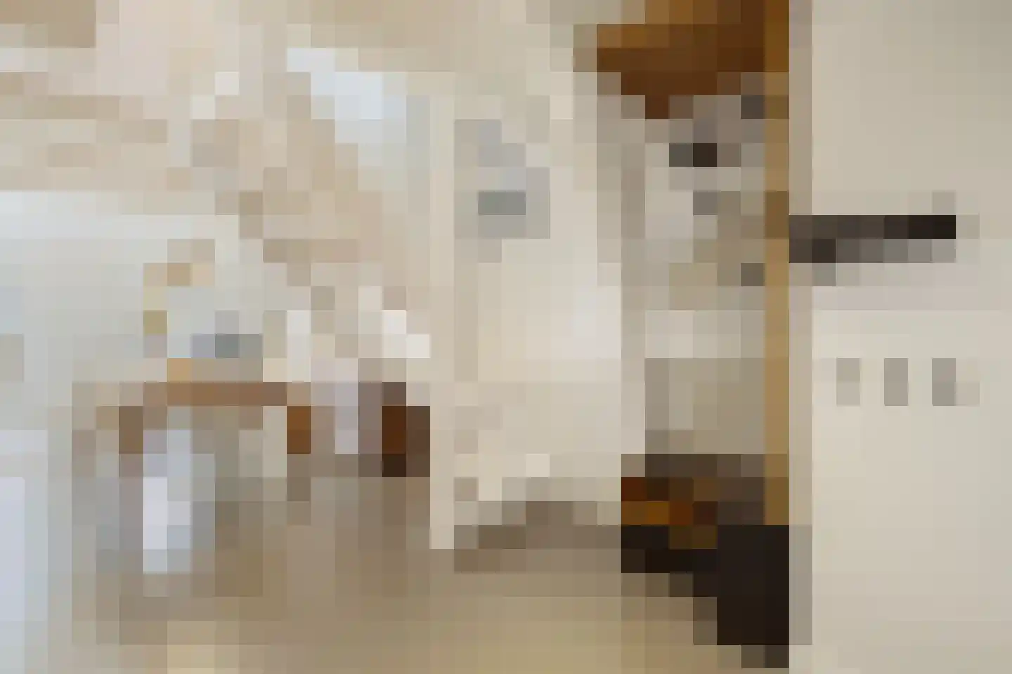 Droogbak 6 D Amsterdam thumbnail 26