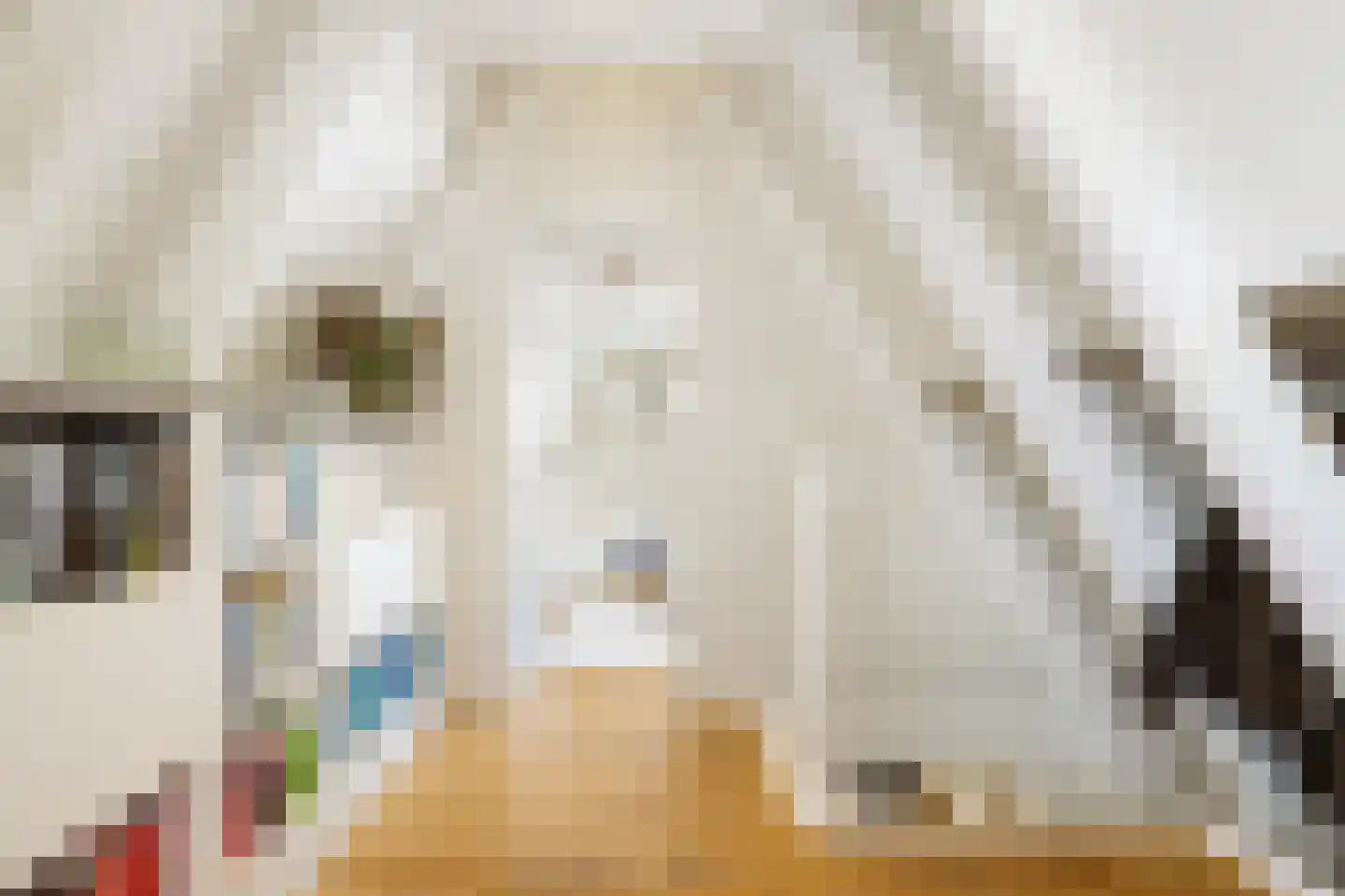 Droogbak 6 D Amsterdam thumbnail 29