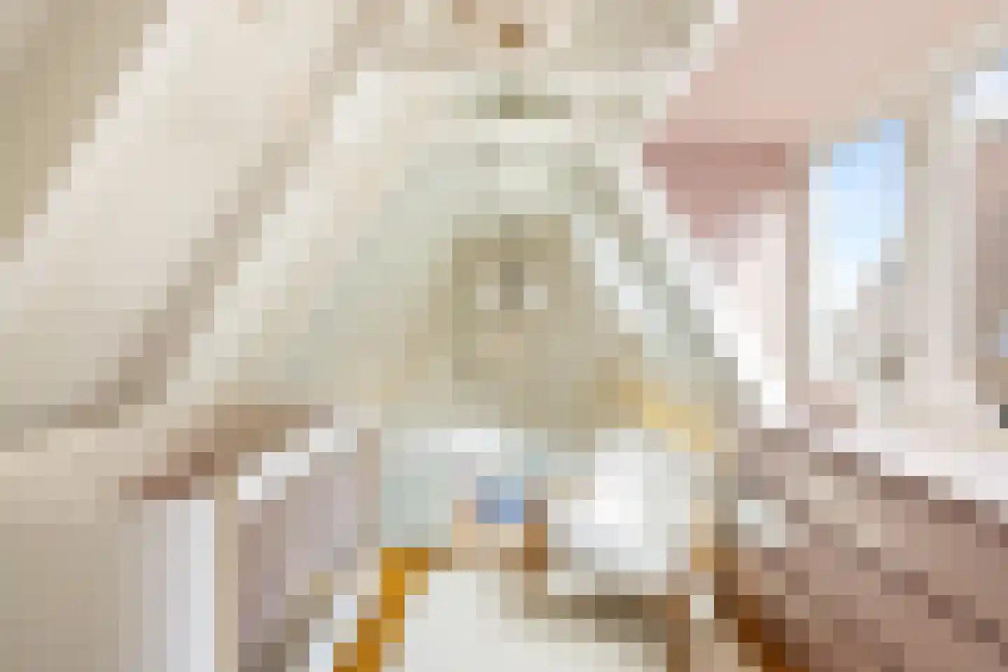 Droogbak 6 D Amsterdam thumbnail 30