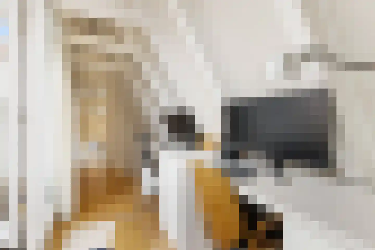 Droogbak 6 D Amsterdam thumbnail 32