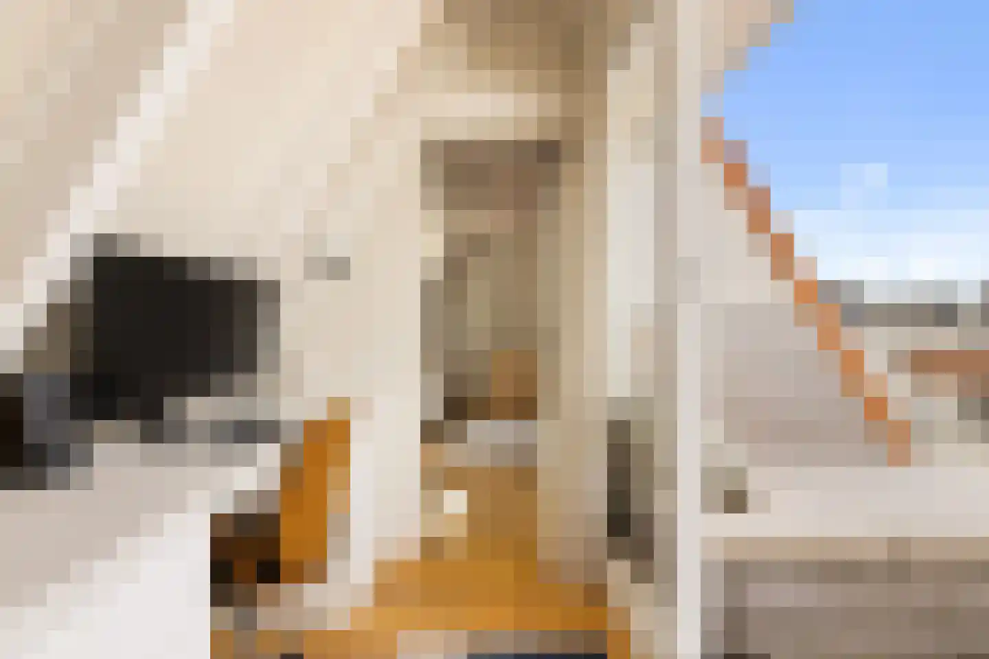 Droogbak 6 D Amsterdam thumbnail 36