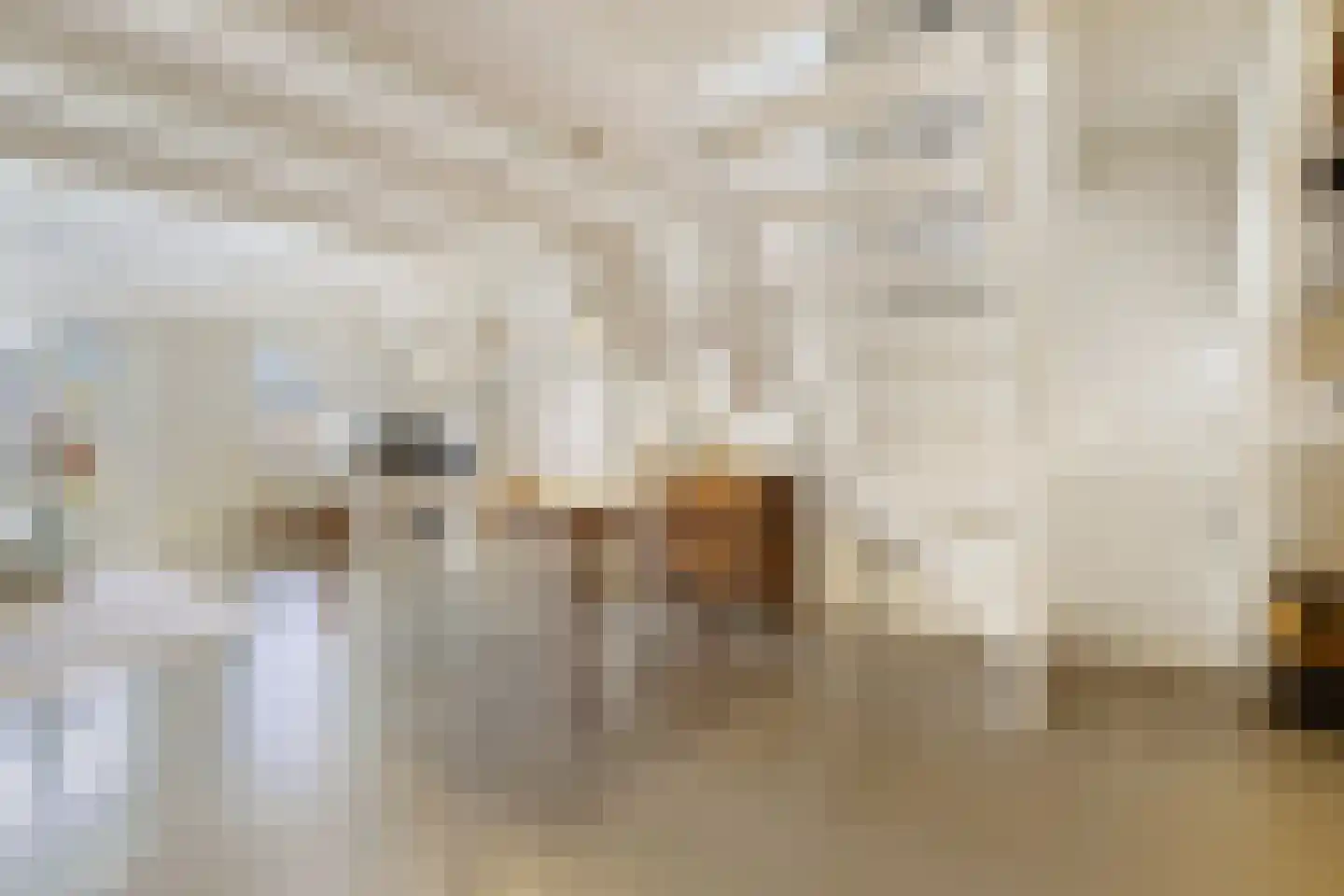 Droogbak 6 D Amsterdam thumbnail 4