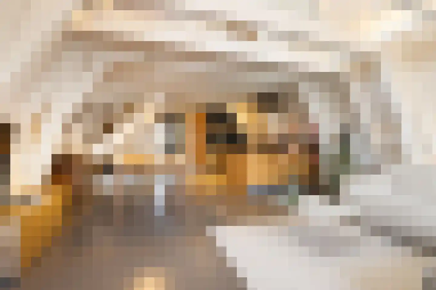 Droogbak 6 D Amsterdam thumbnail 5