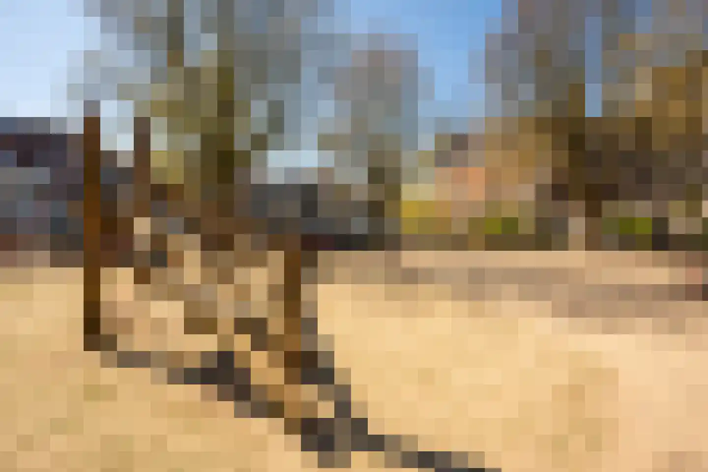 Droogbak 6 D Amsterdam thumbnail 54