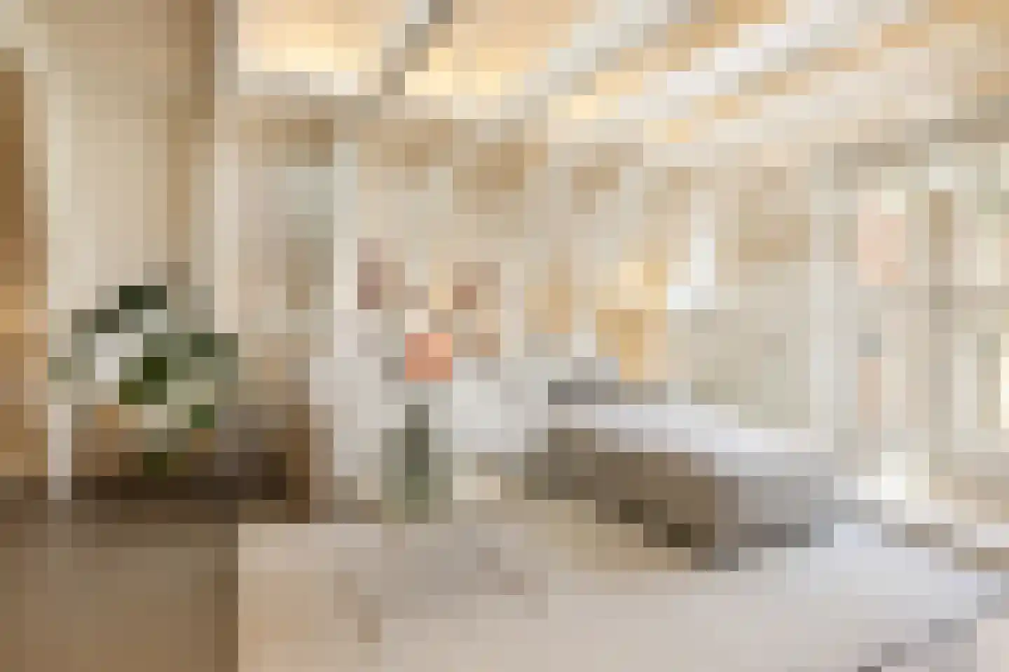 Droogbak 6 D Amsterdam thumbnail 7