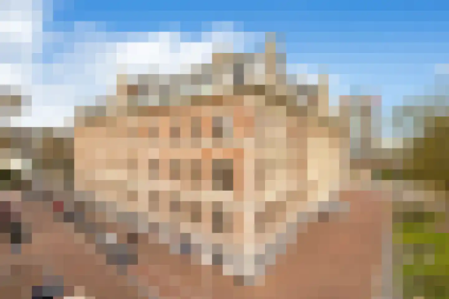 Droogbak 6 D Amsterdam thumbnail 8