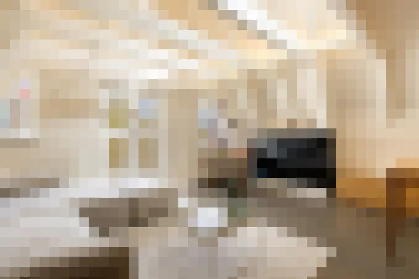 Droogbak 6 D Amsterdam thumbnail 9