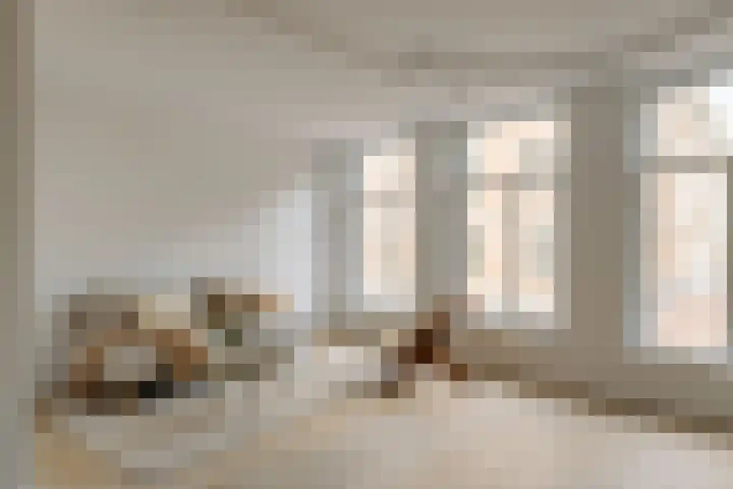 Droogbak 7 2 Amsterdam thumbnail 4