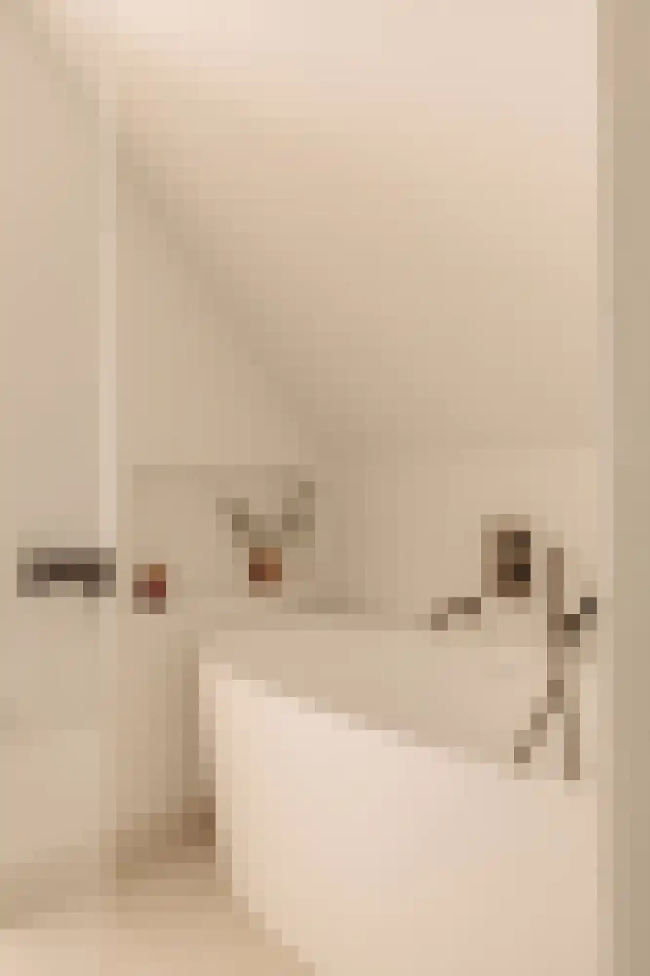 Droogbak 7 3 Amsterdam thumbnail 11