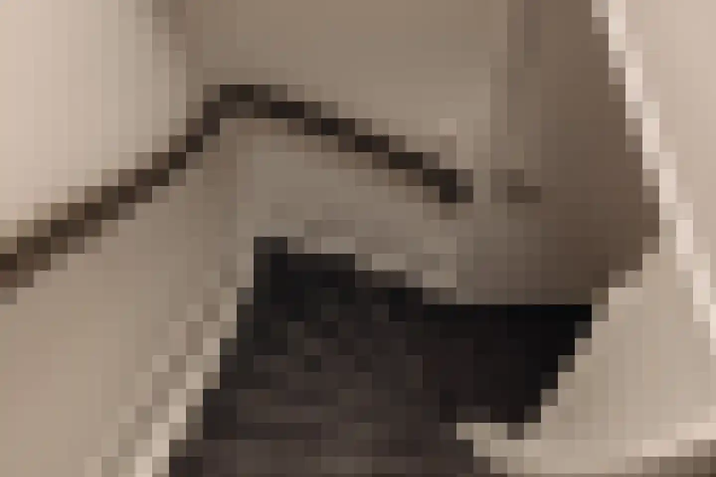 Droogbak 7 3 Amsterdam thumbnail 15