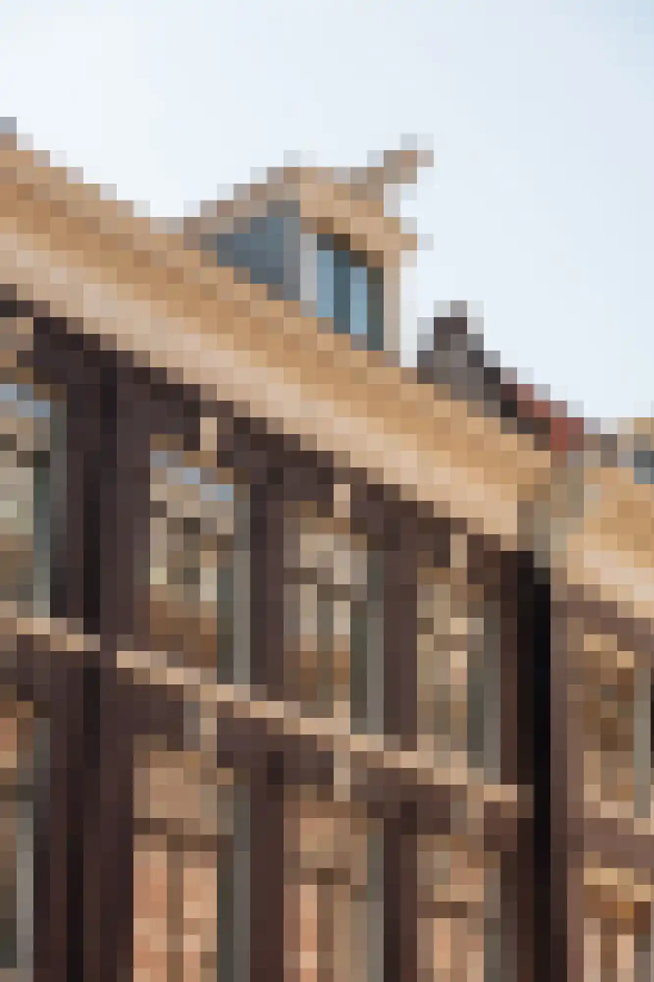 Droogbak 7 3 Amsterdam thumbnail 17