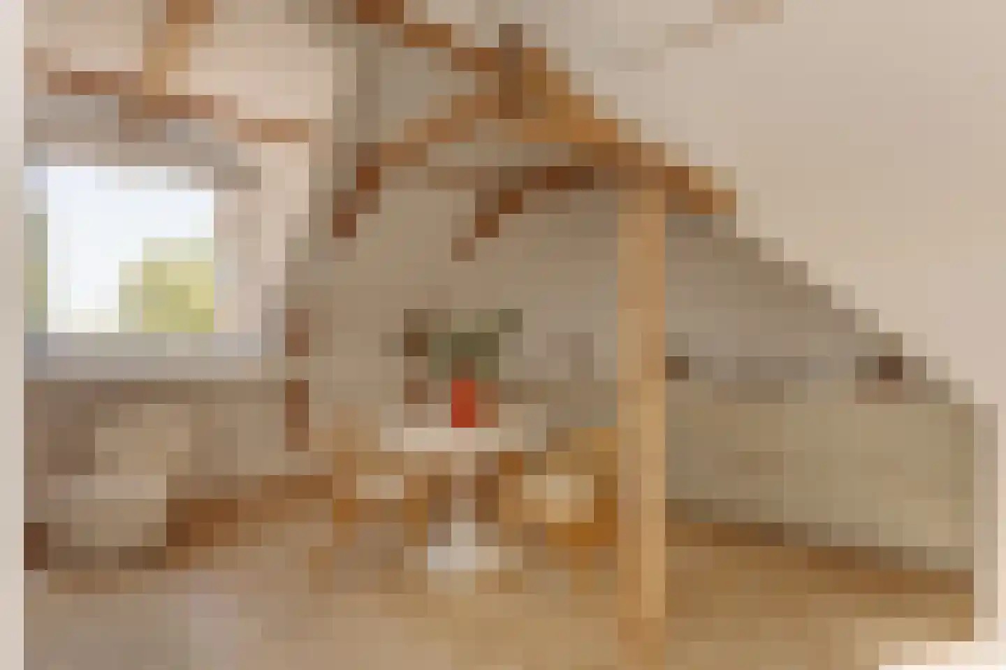 Droogbak 7 3 Amsterdam thumbnail 4