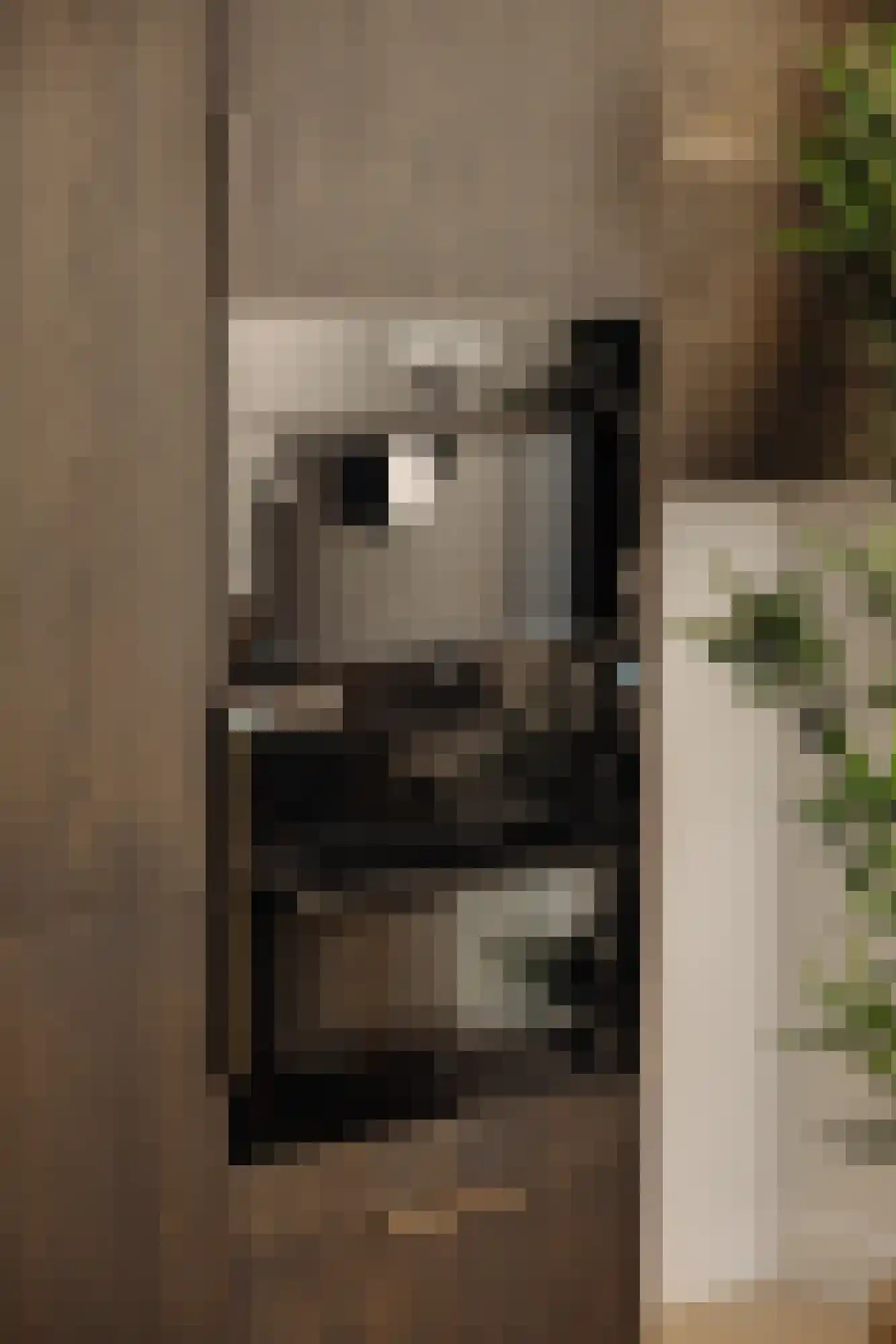 Droogbak 7 3 Amsterdam thumbnail 6