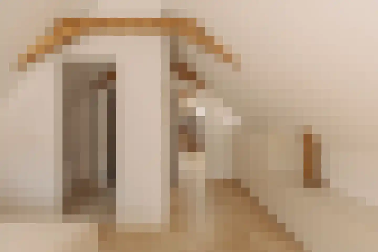 Droogbak 7 3 Amsterdam thumbnail 9