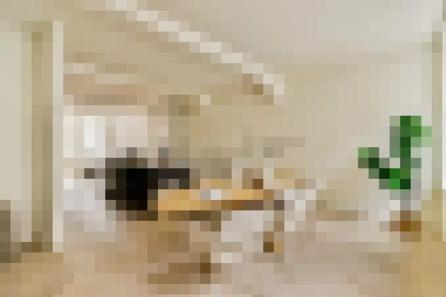 Droogbak 7 H Amsterdam thumbnail 10