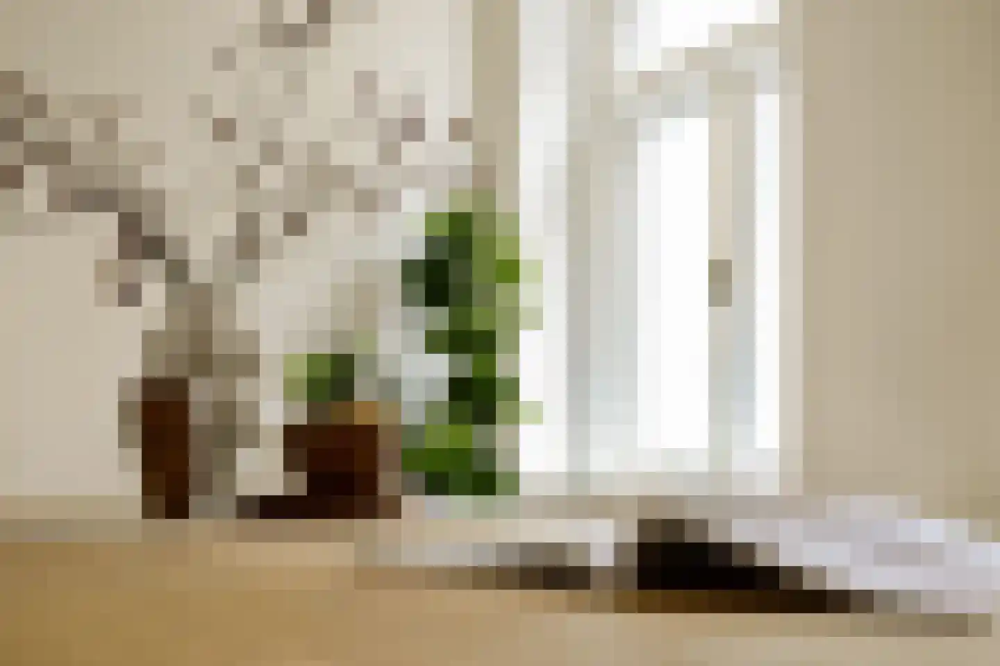 Droogbak 7 H Amsterdam thumbnail 11