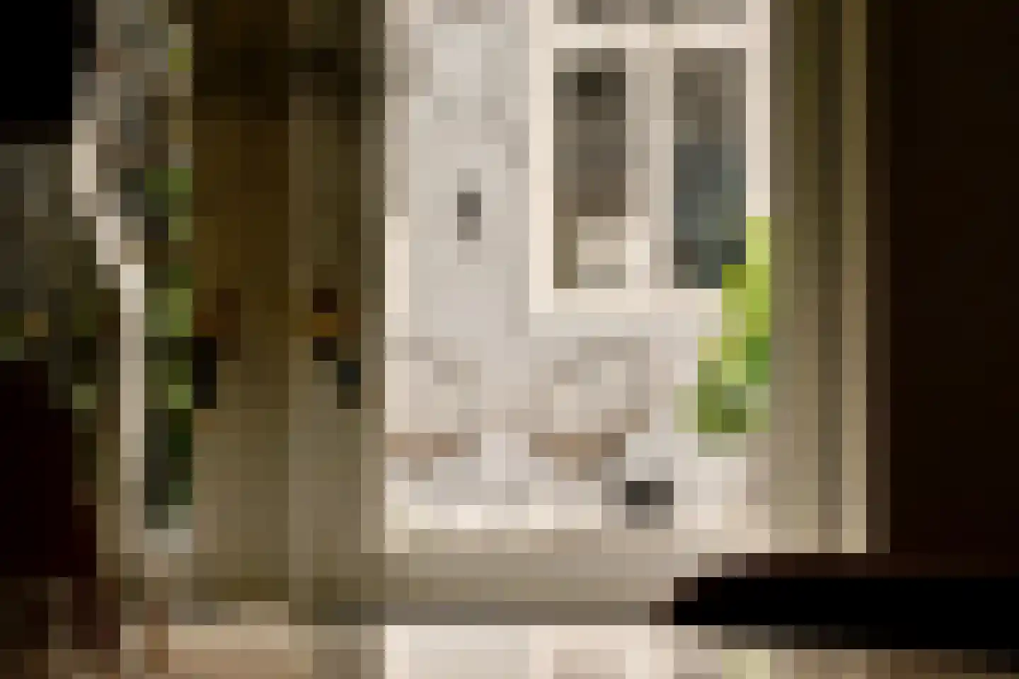 Droogbak 7 H Amsterdam thumbnail 14