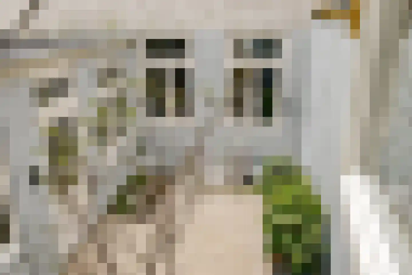 Droogbak 7 H Amsterdam thumbnail 16