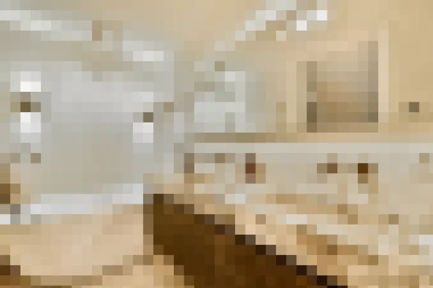 Droogbak 7 H Amsterdam thumbnail 22