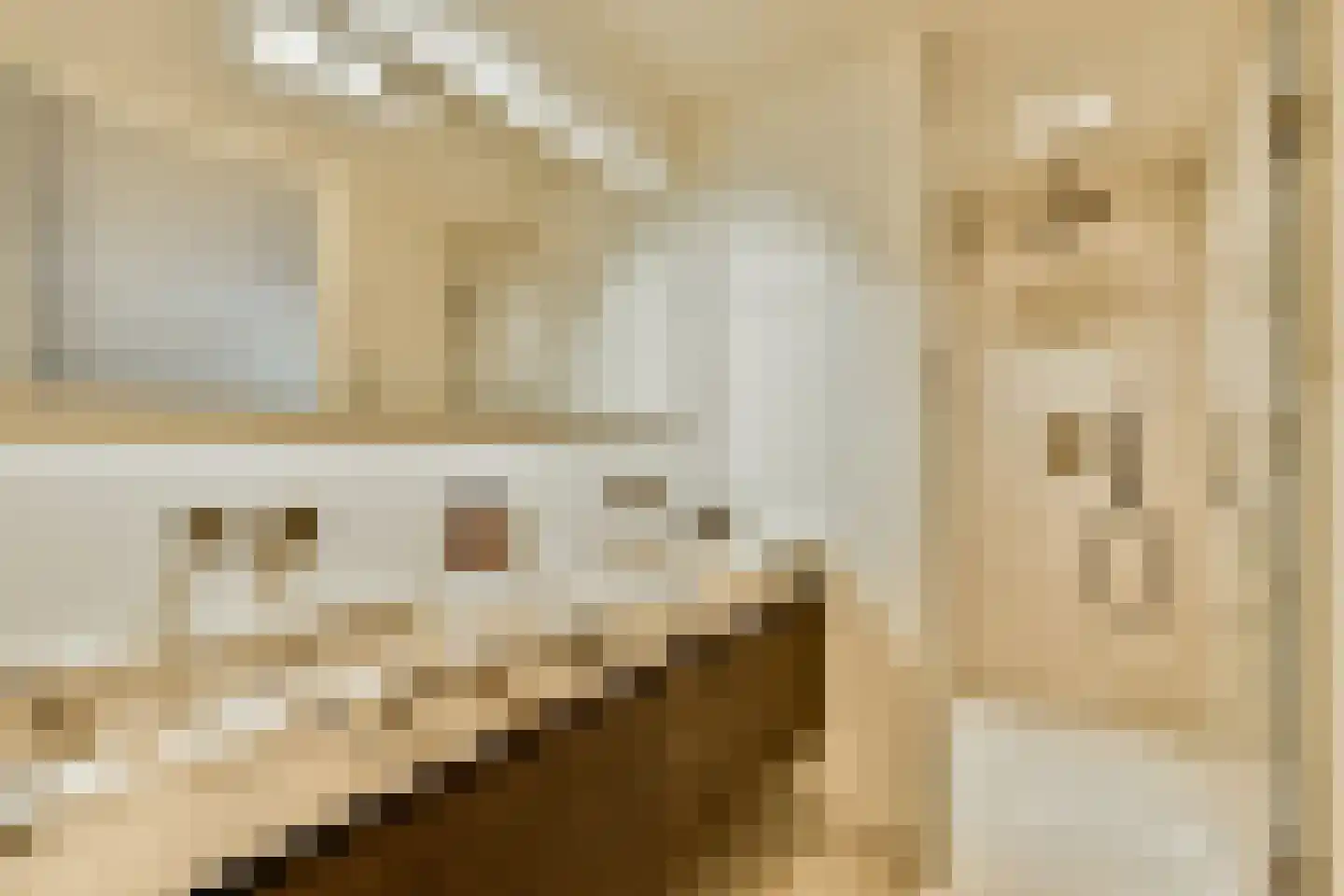 Droogbak 7 H Amsterdam thumbnail 23
