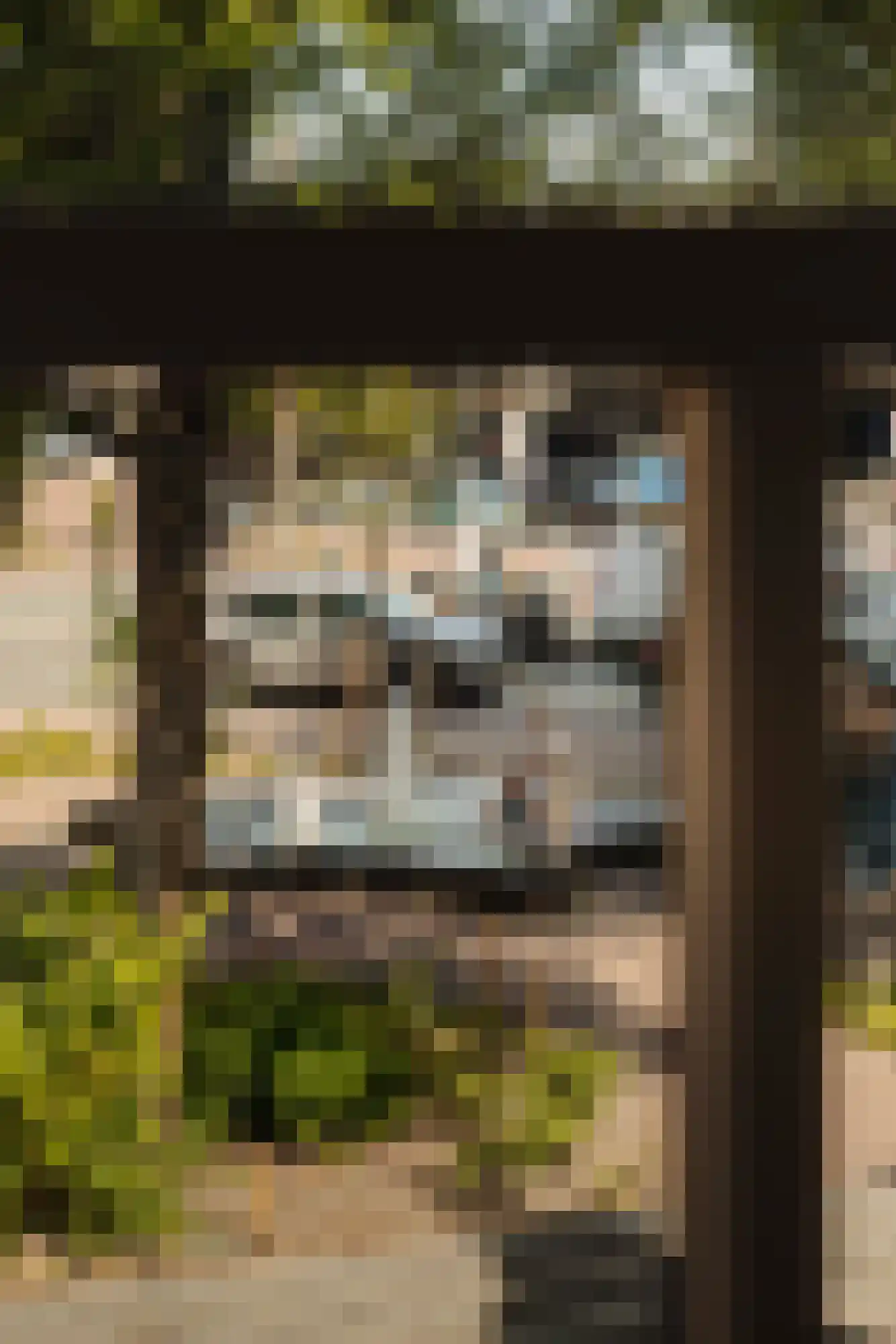 Droogbak 7 H Amsterdam thumbnail 33