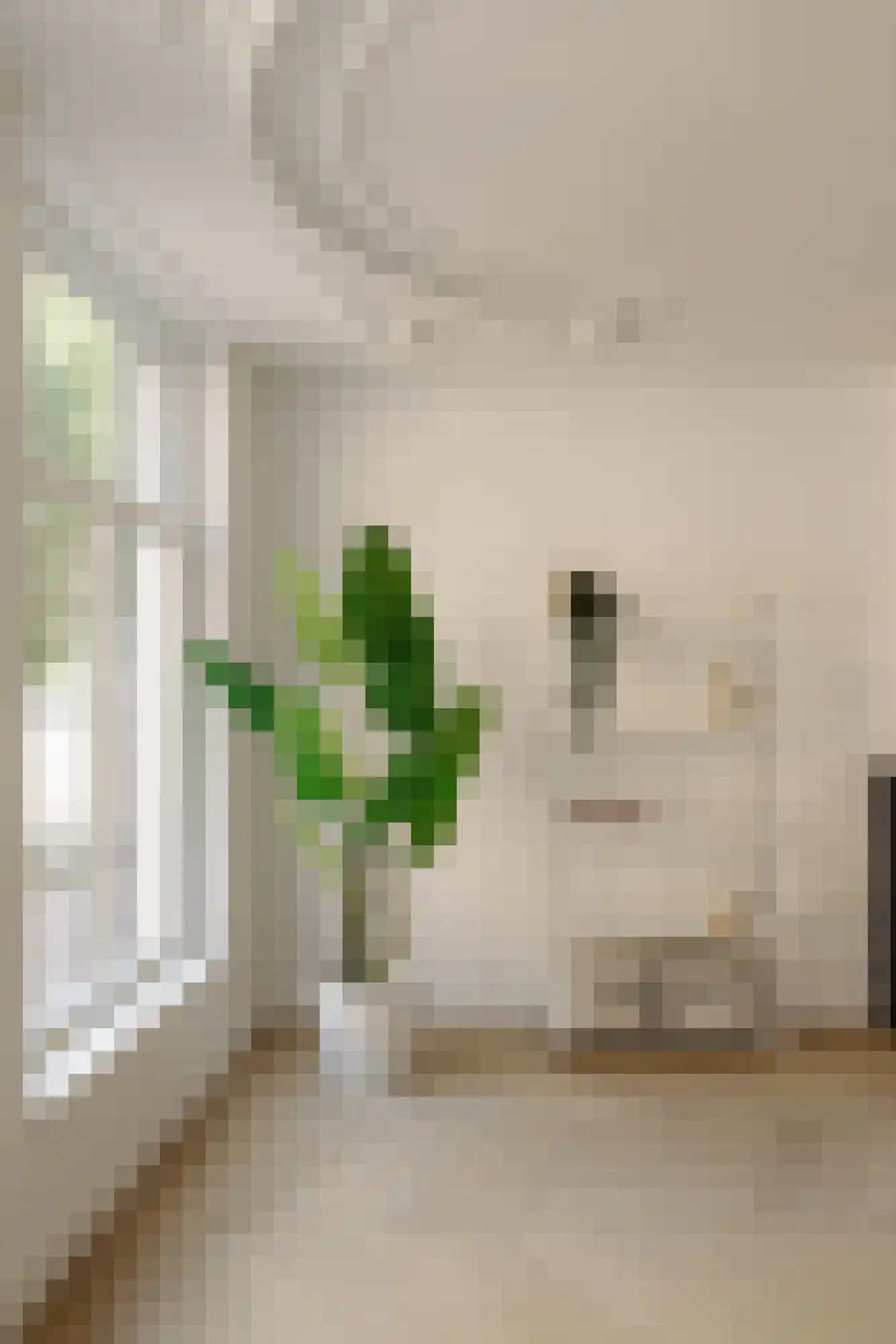 Droogbak 7 H Amsterdam thumbnail 6