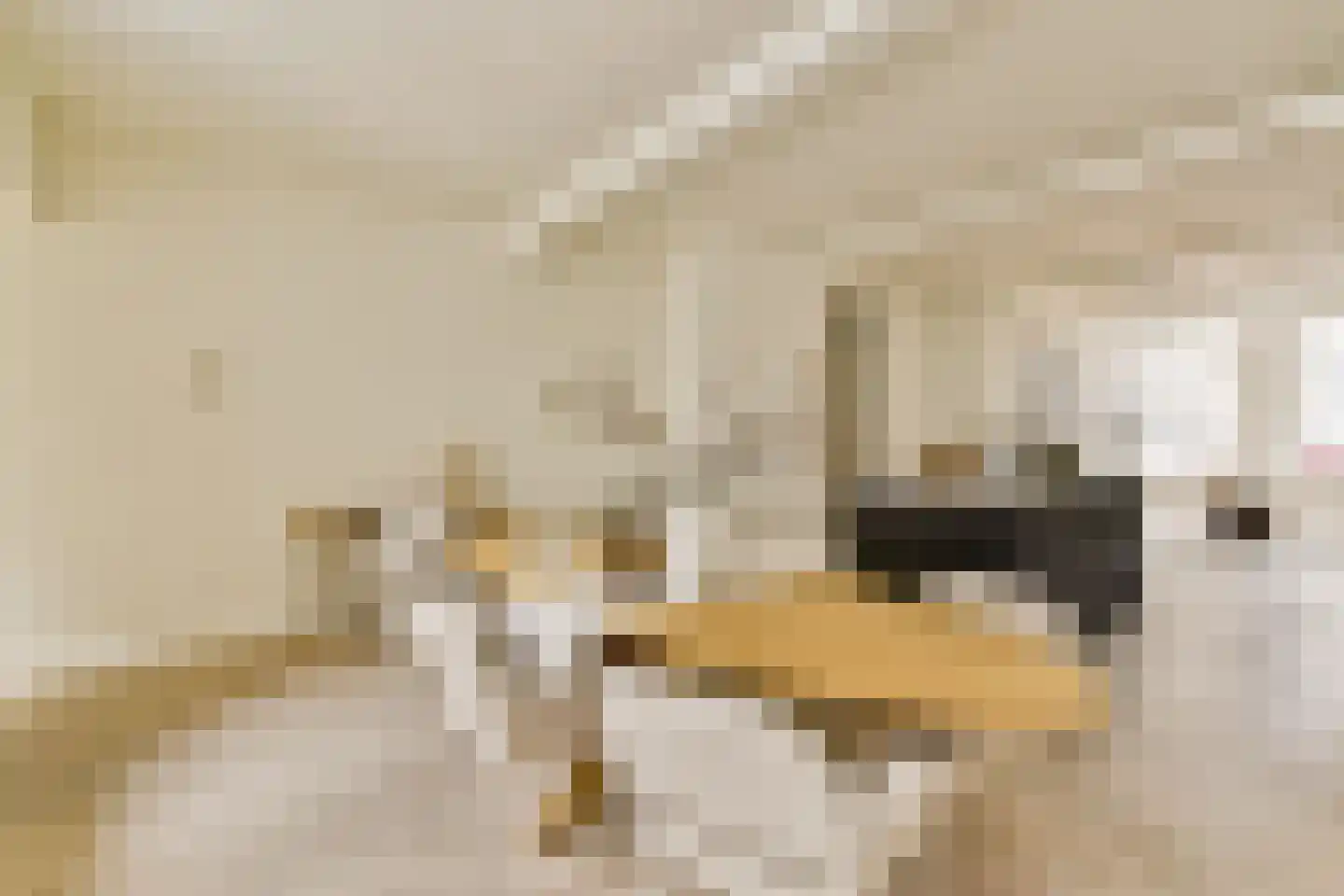 Droogbak 7 H Amsterdam thumbnail 9