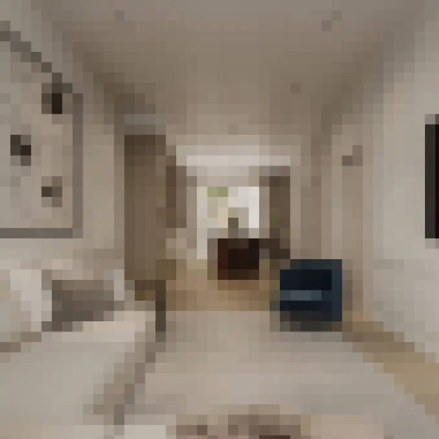 Droogbak 8 2 Amsterdam thumbnail 5