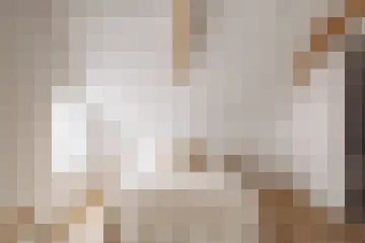 Droogbak 8 3 Amsterdam thumbnail 12