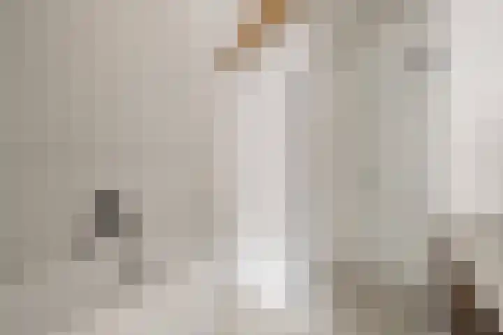 Droogbak 8 3 Amsterdam thumbnail 16