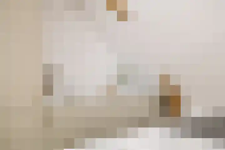 Droogbak 8 3 Amsterdam thumbnail 5