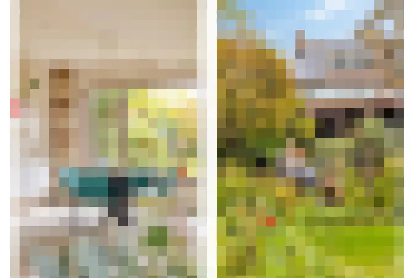 Droogbloem 1 Castricum thumbnail 14