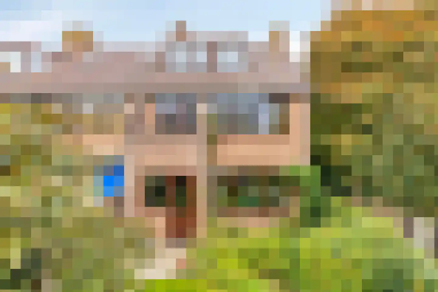 Droogbloem 1 Castricum thumbnail 18