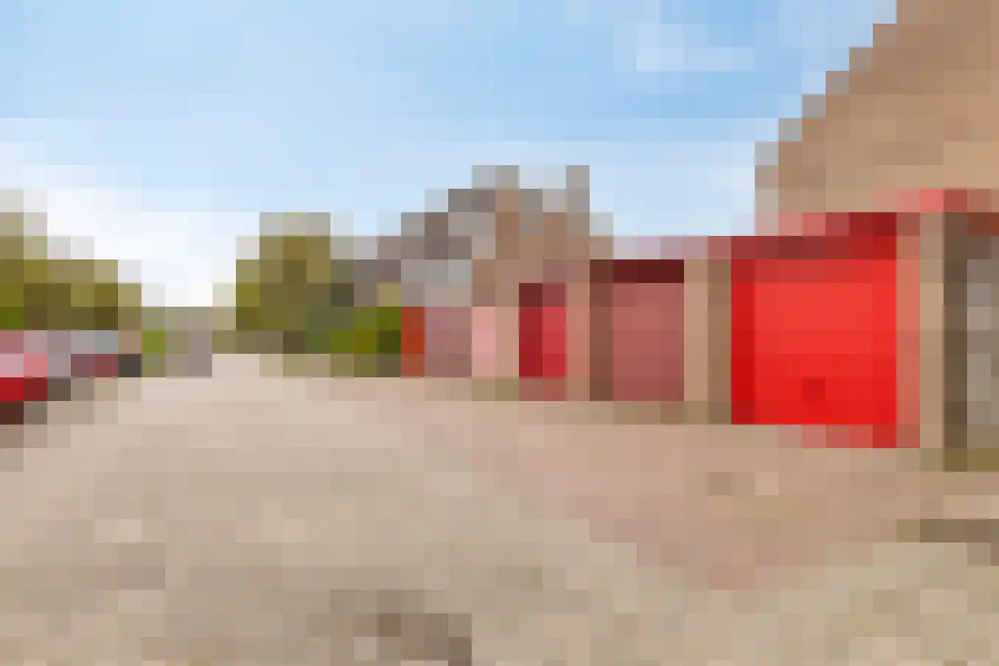 Droogbloem 1 Castricum thumbnail 31