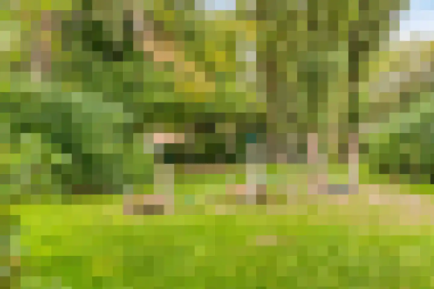 Droogbloem 1 Castricum thumbnail 37