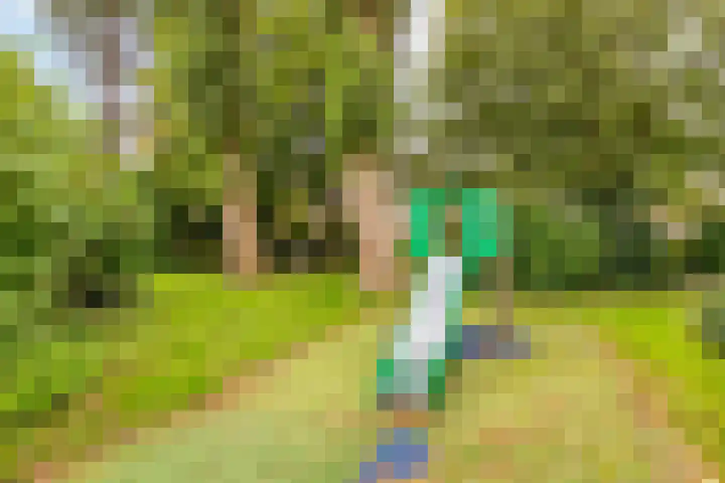 Droogbloem 1 Castricum thumbnail 38