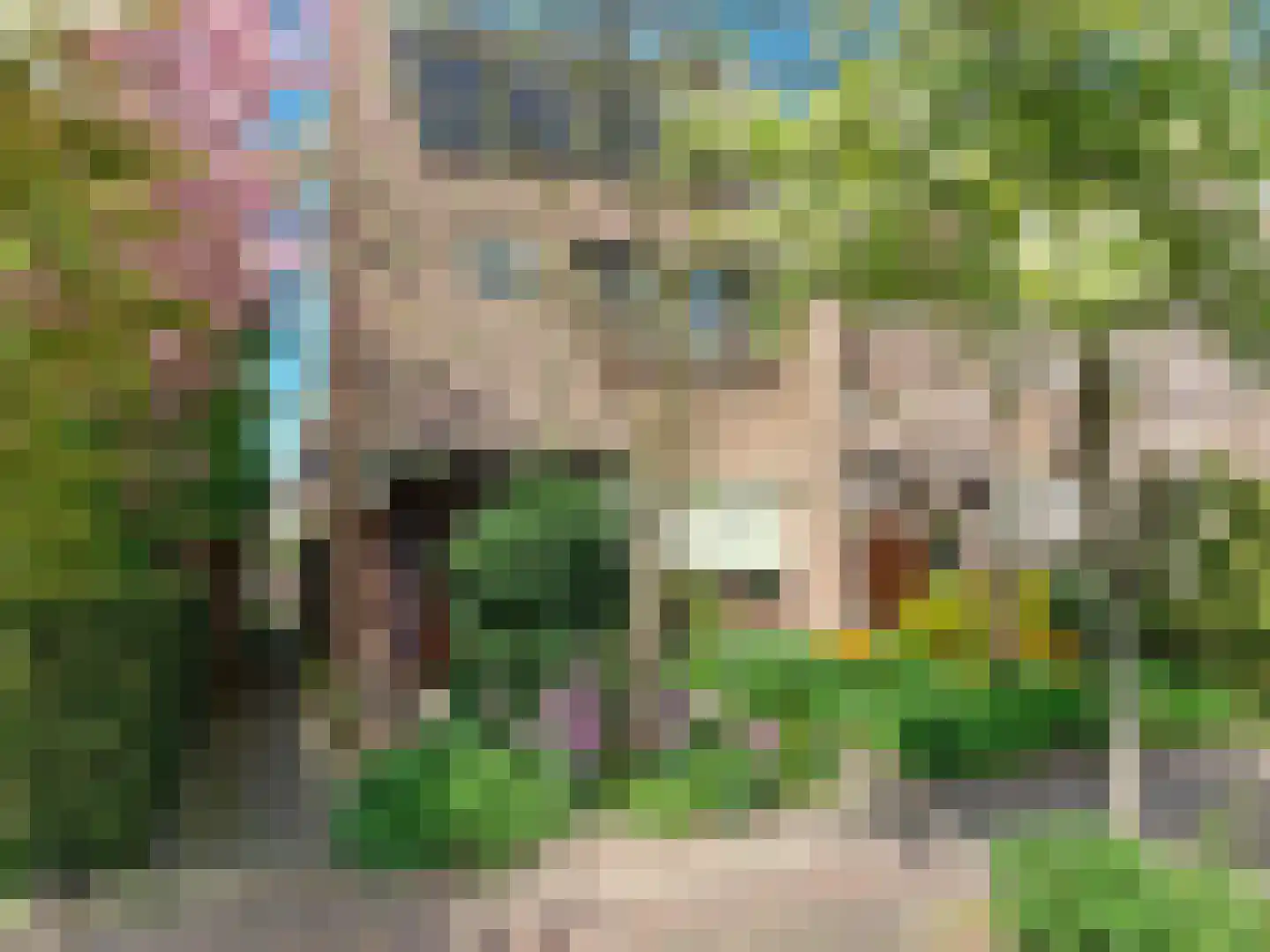 Droogbloem 1 Castricum thumbnail 39
