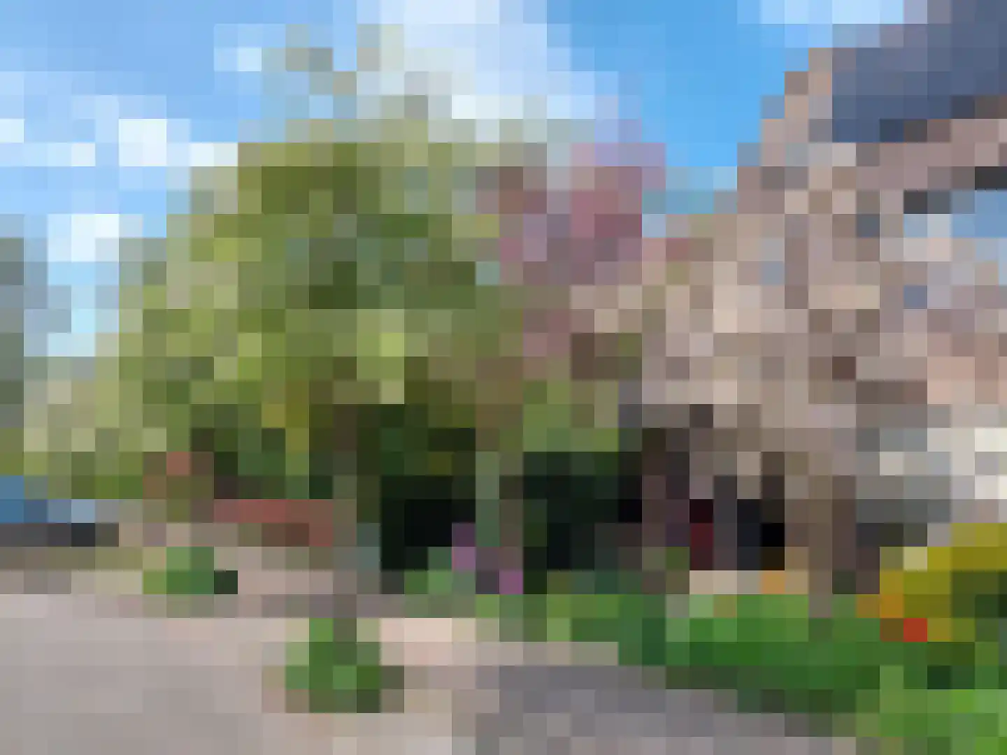Droogbloem 1 Castricum thumbnail 40