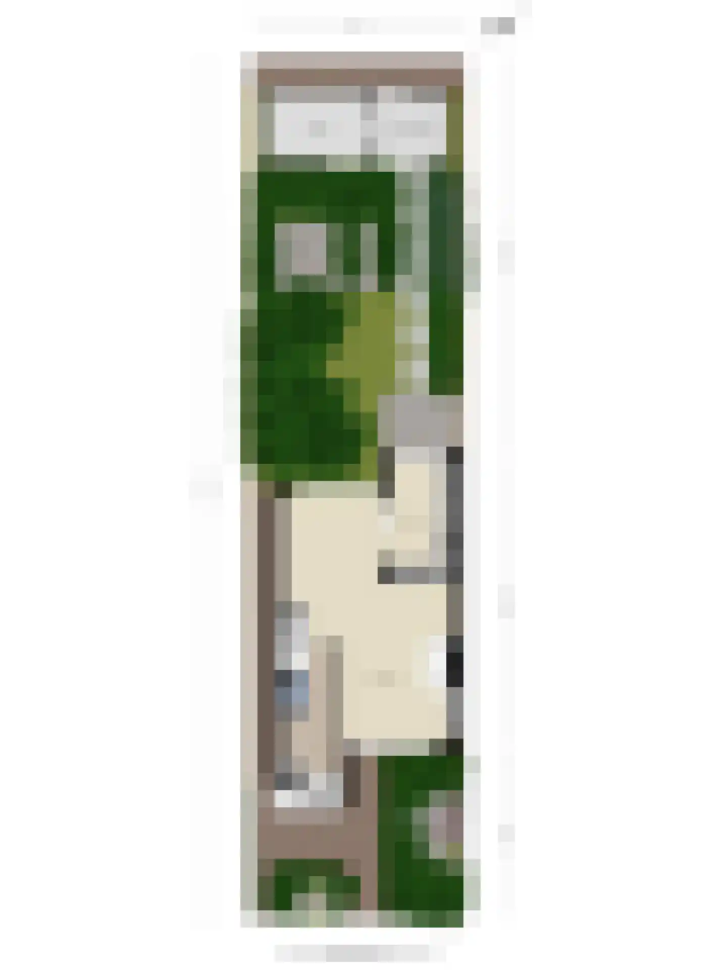 Droogbloem 1 Castricum thumbnail 43