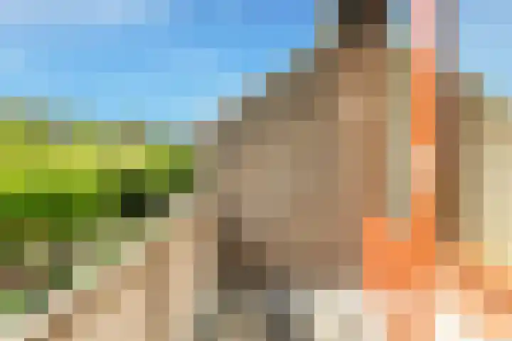 Droogbloem 10 Castricum thumbnail 30