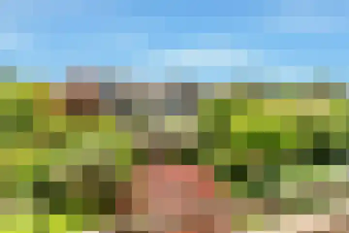 Droogbloem 10 Castricum thumbnail 31