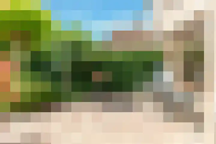 Droogbloem 10 Castricum thumbnail 41