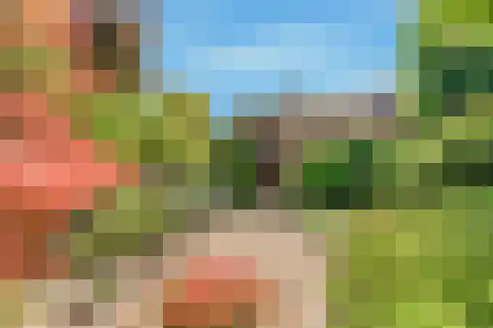 Droogbloem 10 Castricum thumbnail 44