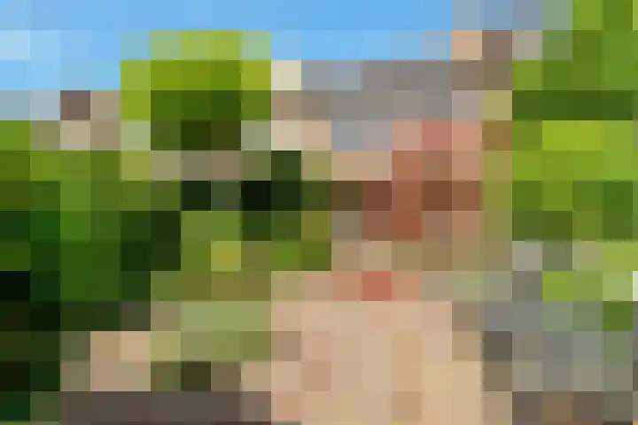 Droogbloem 10 Castricum thumbnail 47