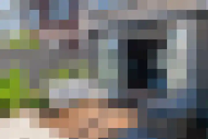 Droogdok 3 Ridderkerk thumbnail 12