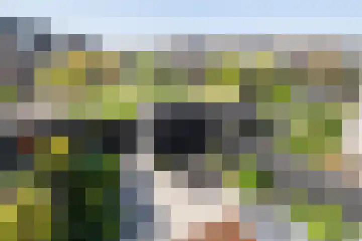 Droogdok 3 Ridderkerk thumbnail 15