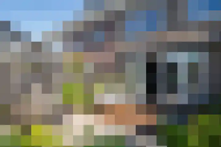 Droogdok 3 Ridderkerk thumbnail 17