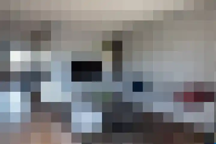 Droogdok 3 Ridderkerk thumbnail 19